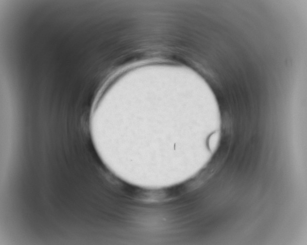 X0000113020719200910081200