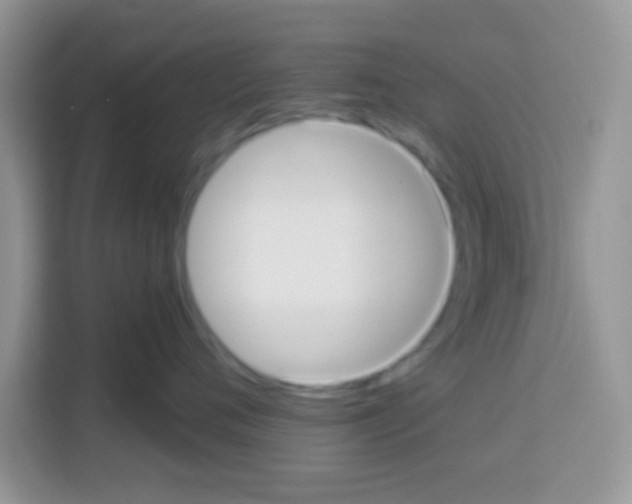 X0000113020720200910081200