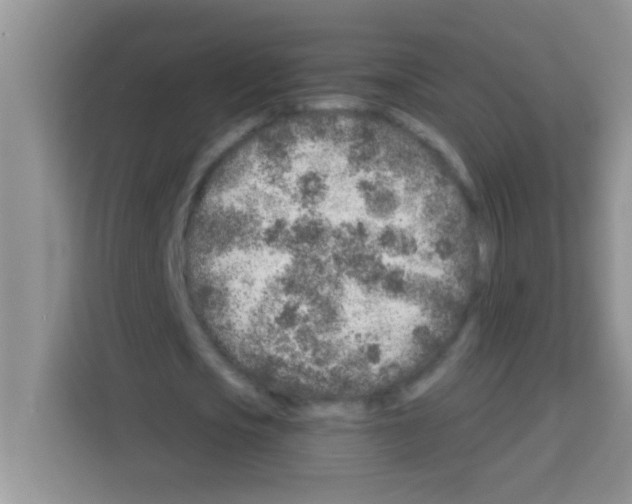 X0000113020721200910081159