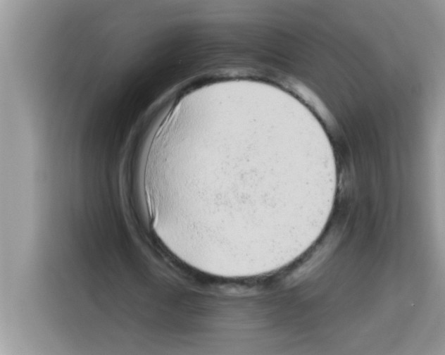 X0000113020722200910081159