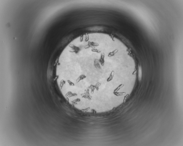 X0000113020723200910081159