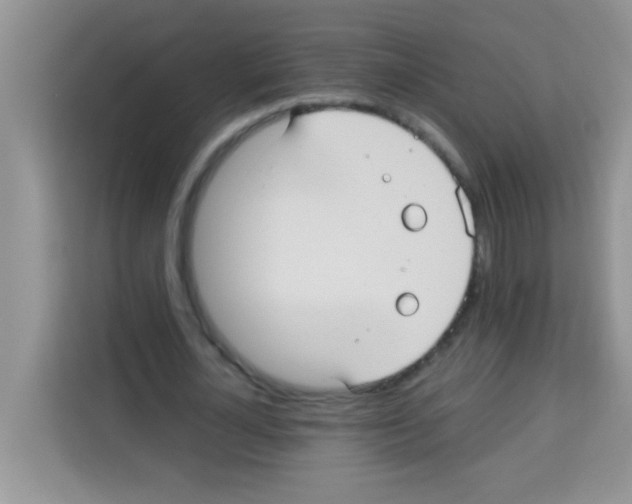 X0000113020724200910081159