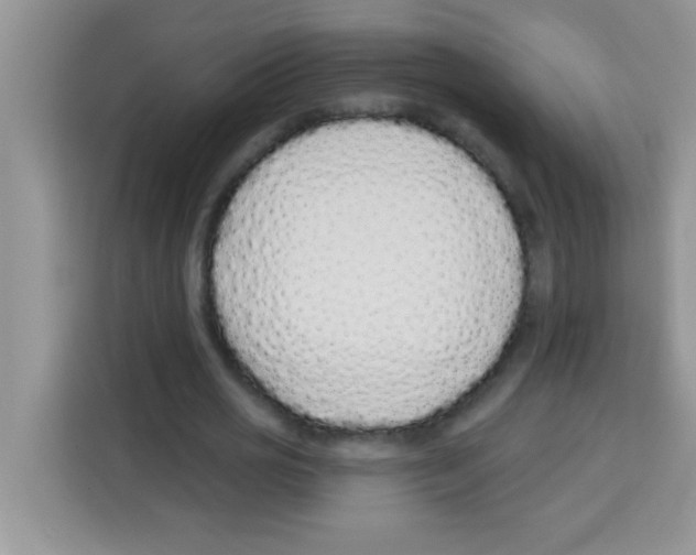 X0000113020725200910081159