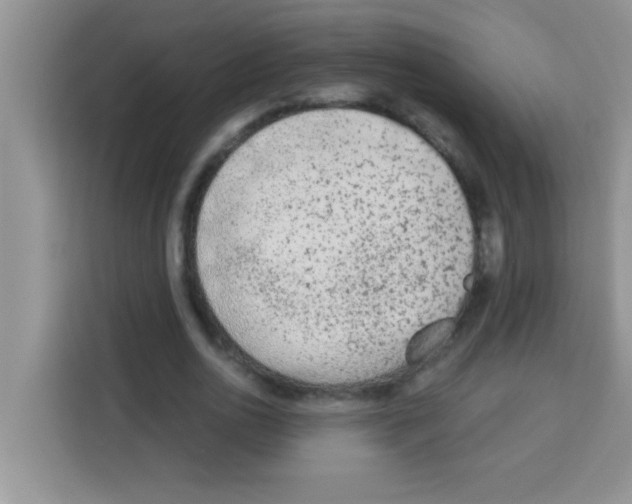 X0000113020726200910081159