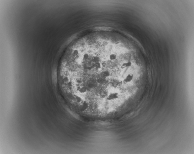 X0000113020729200910081159