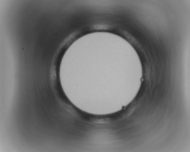 X0000113020731200910081159