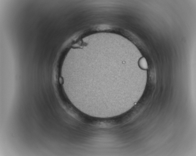 X0000113020732200910081159