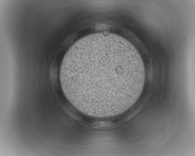 X0000113020737200910081159