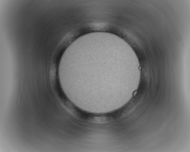 X0000113020744200910081159