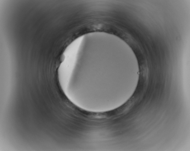 X0000113020754200910081159