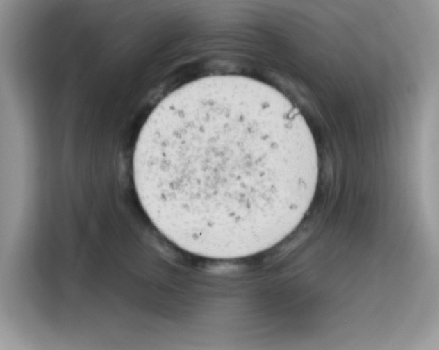 X0000113020759200910081159