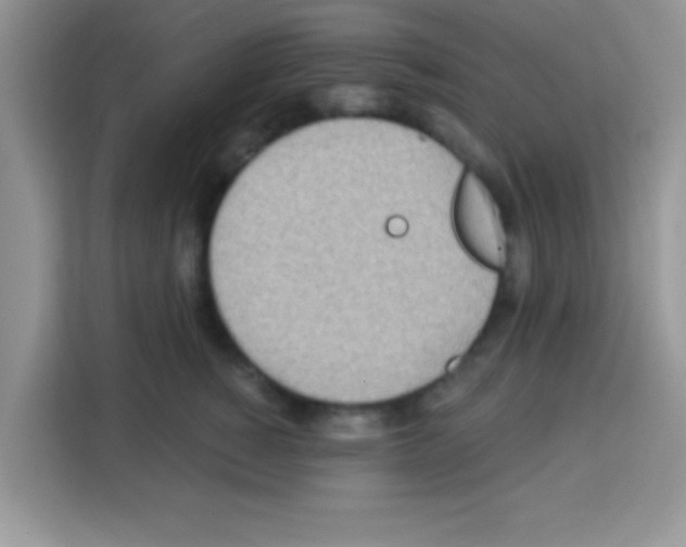 X0000113020760200910081159