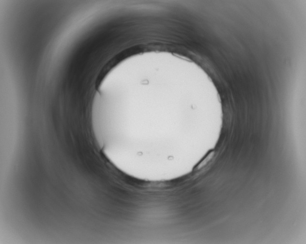 X0000113020762200910081159