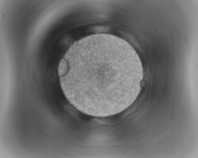 X0000113020763200910081159