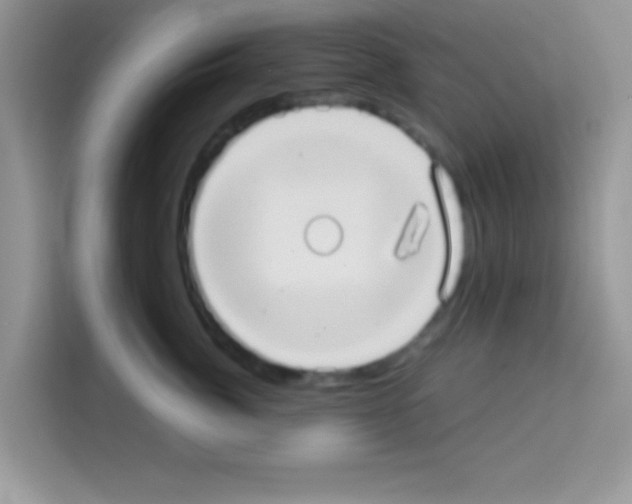 X0000113020764200910081159