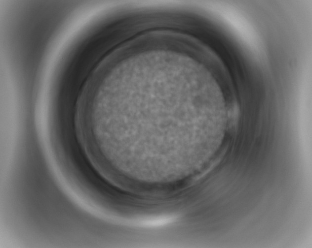 X0000113020765200910081200