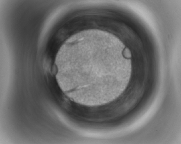 X0000113020766200910081200