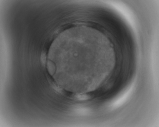 X0000113020767200910081200