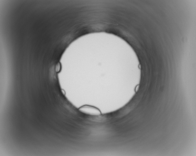 X0000113020768200910081200