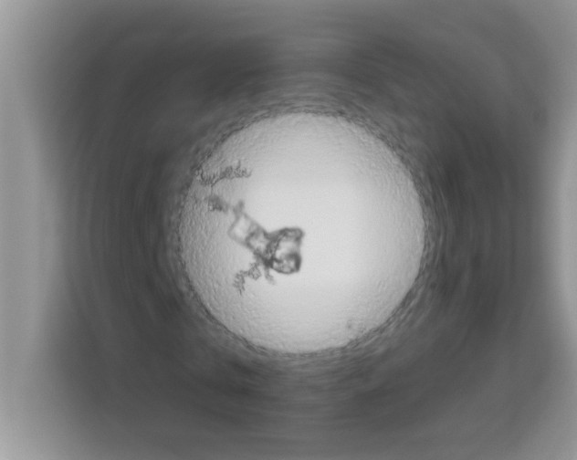 X0000113020769200910081159