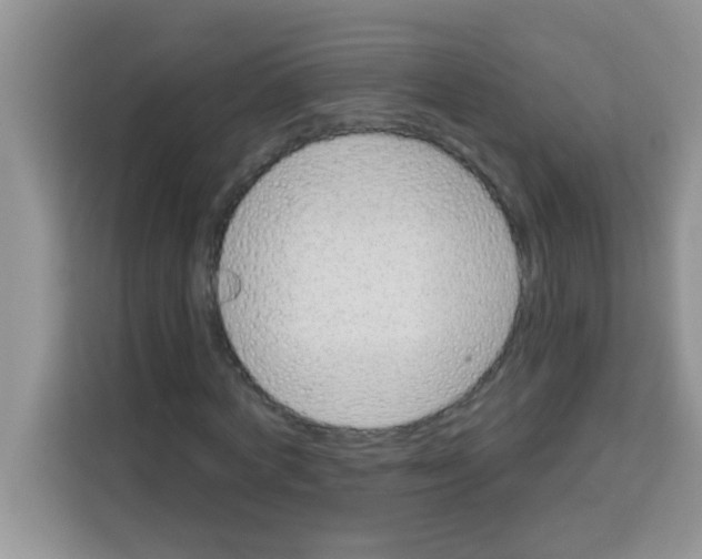 X0000113020772200910081159