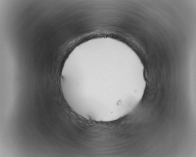 X0000113020773200910081159