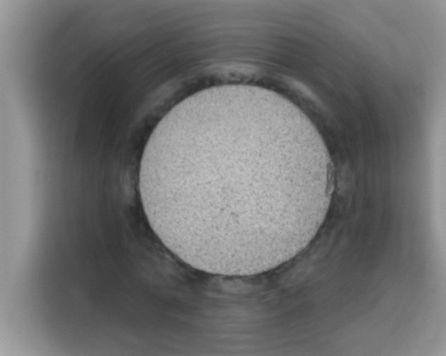 X0000113020774200910081159