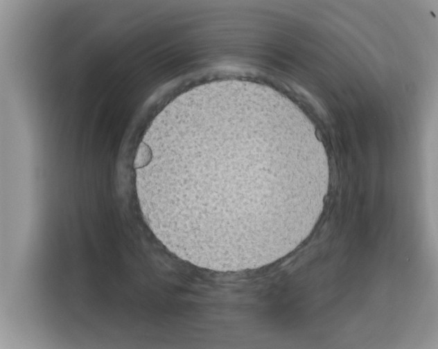 X0000113020776200910081159