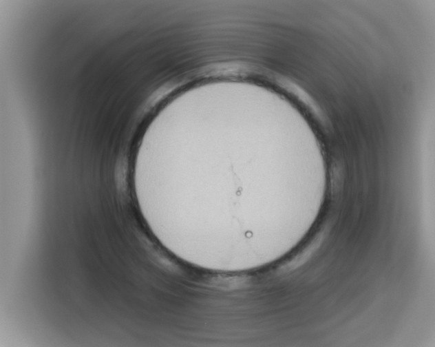 X0000113020778200910081159