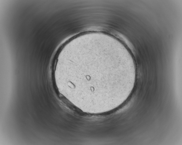 X0000113020779200910081159