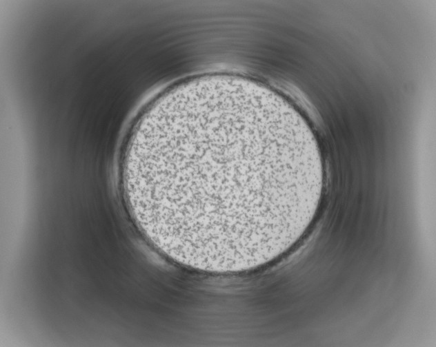 X0000113020780200910081159