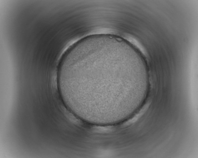 X0000113020781200910081159