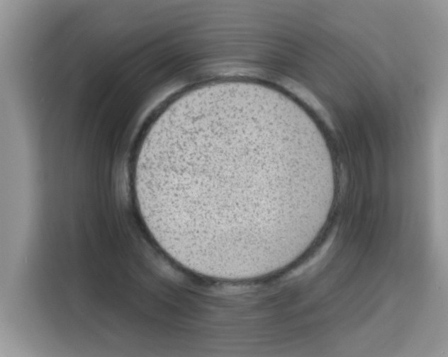 X0000113020782200910081159