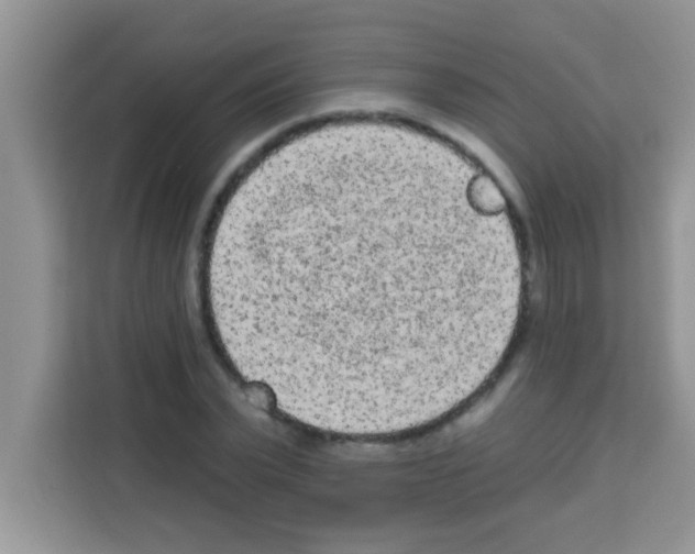 X0000113020783200910081159