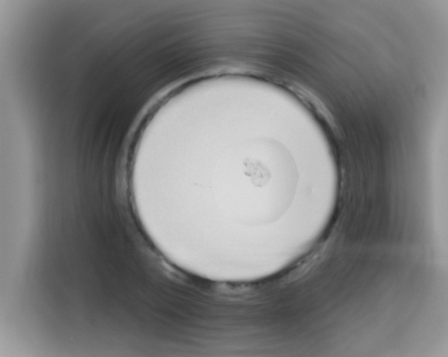 X0000113020784200910081159