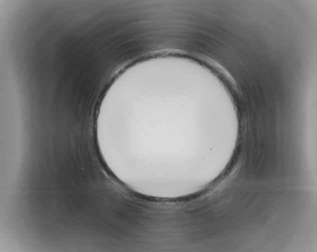 X0000113020785200910081159