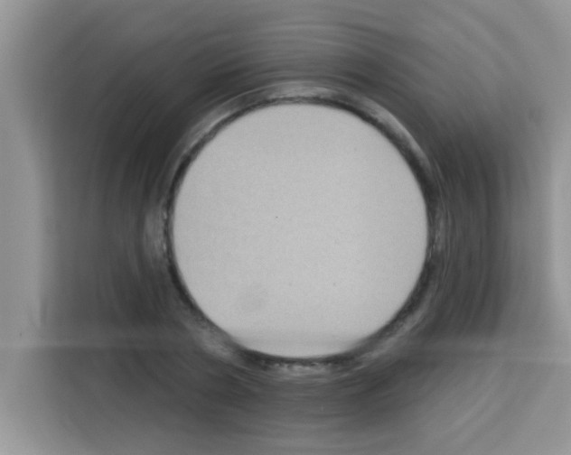 X0000113020786200910081159