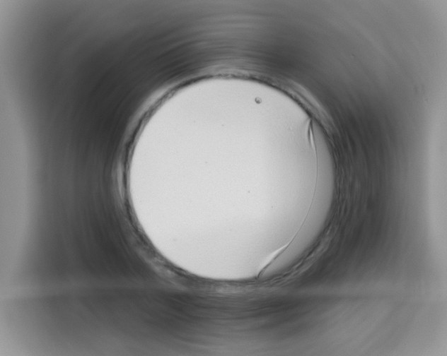 X0000113020788200910081159