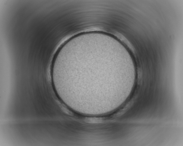 X0000113020789200910081159