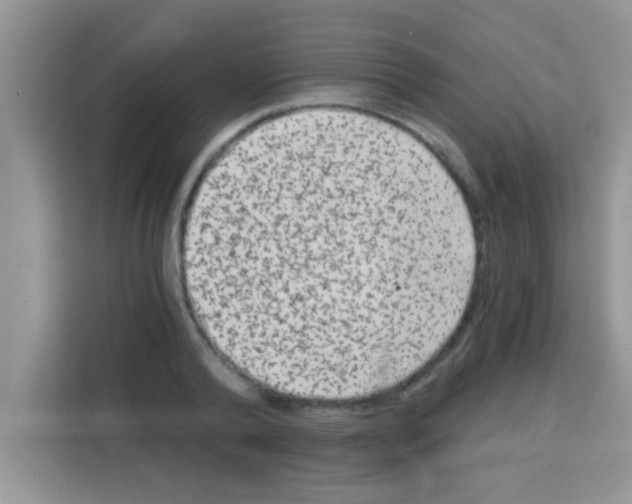 X0000113020792200910081159