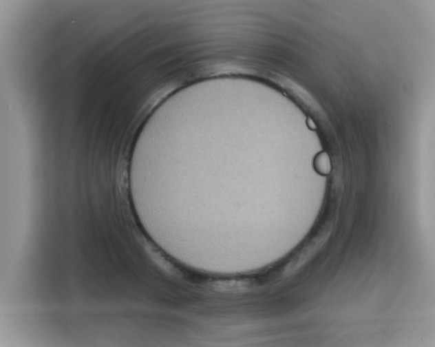 X0000113020793200910081159