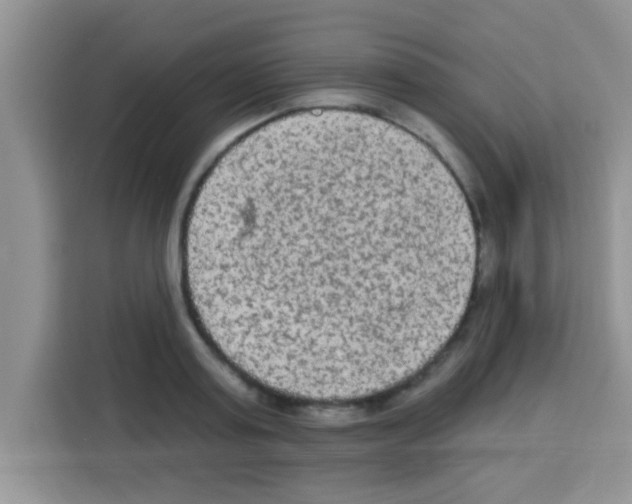 X0000113020795200910081159