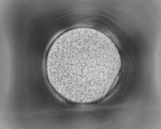 X0000113020796200910081159