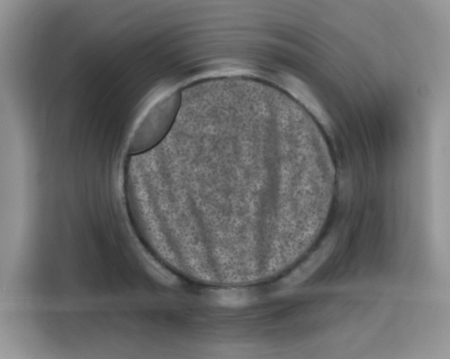 X0000113020797200910081159