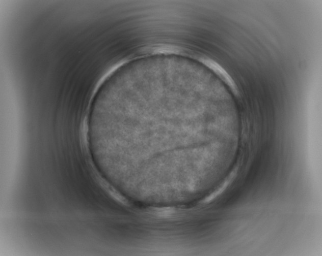 X0000113020798200910081159