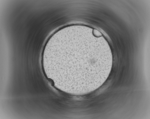 X0000113020799200910081159