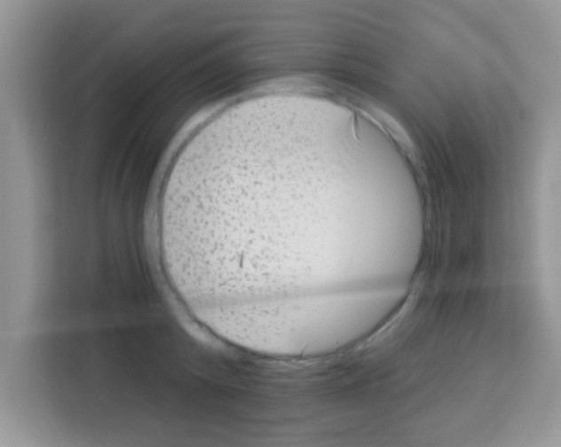 X0000113020800200910081159