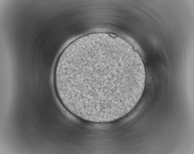 X0000113020803200910081158