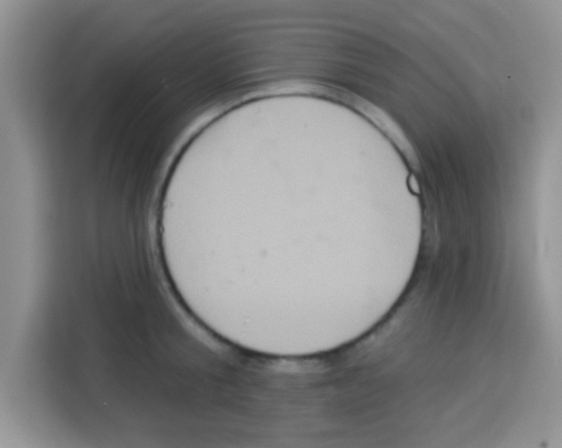 X0000113020805200910081158