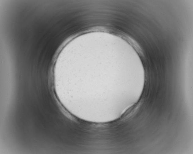 X0000113020808200910081158